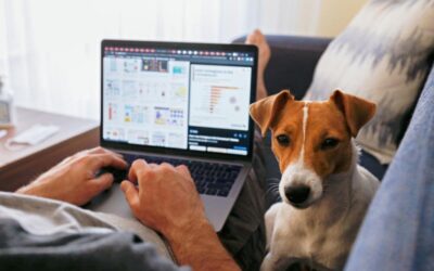 Work From Home Policy for Boca Raton Businesses